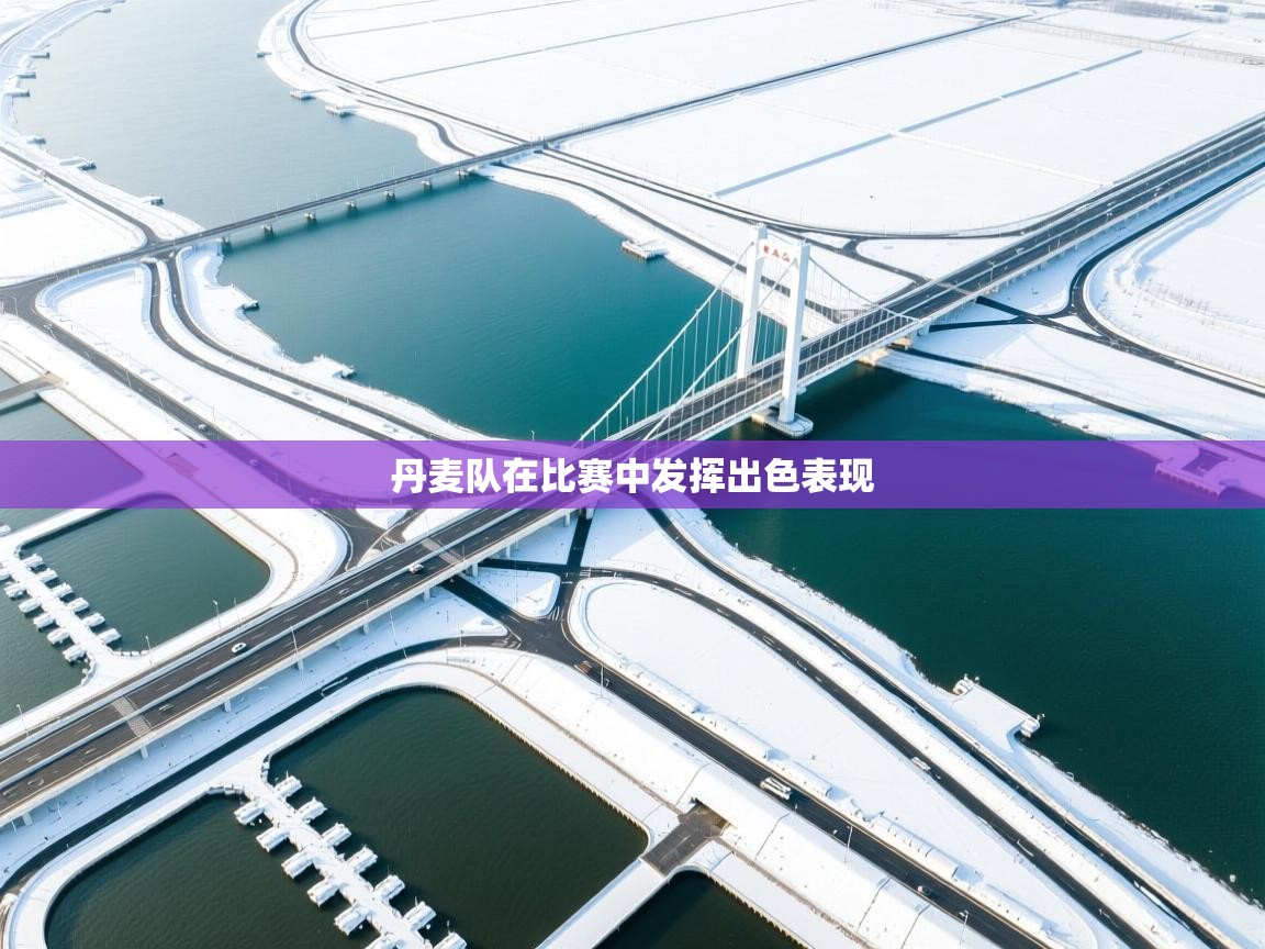 丹麦队在比赛中发挥出色表现  第1张