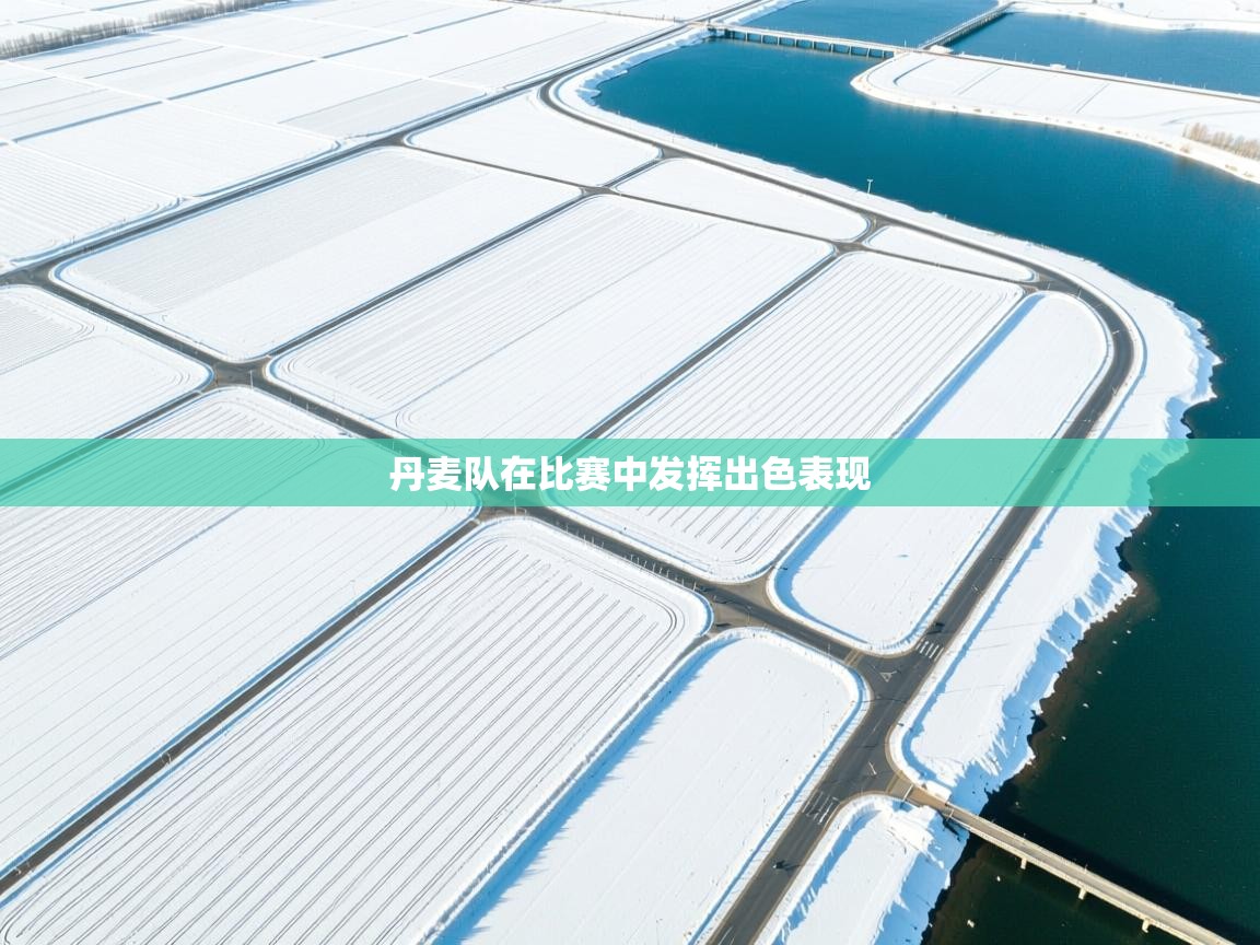 丹麦队在比赛中发挥出色表现  第2张