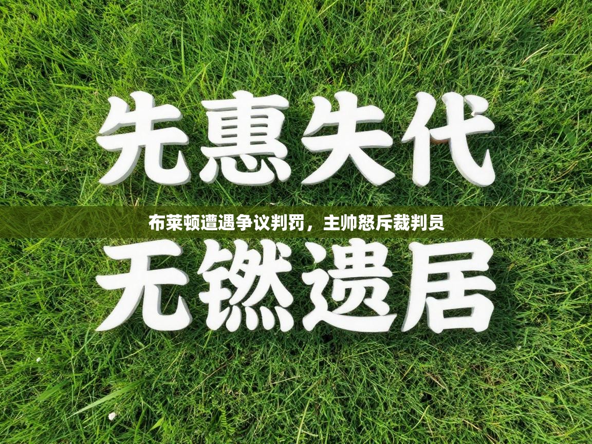 布莱顿遭遇争议判罚,主帅怒斥裁判员 第2张