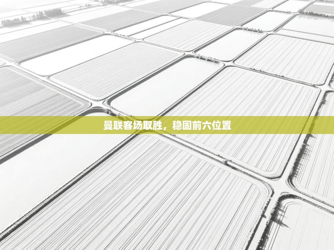 曼联客场取胜，稳固前六位置  第1张